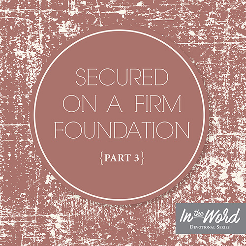 Secured on a Firm Foundation {Part 3} - Hope Mommies