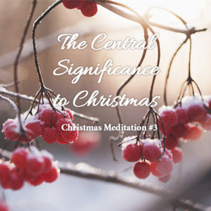 The Central Significance of Christmas Christmas Meditation #3 - Hope Mommies